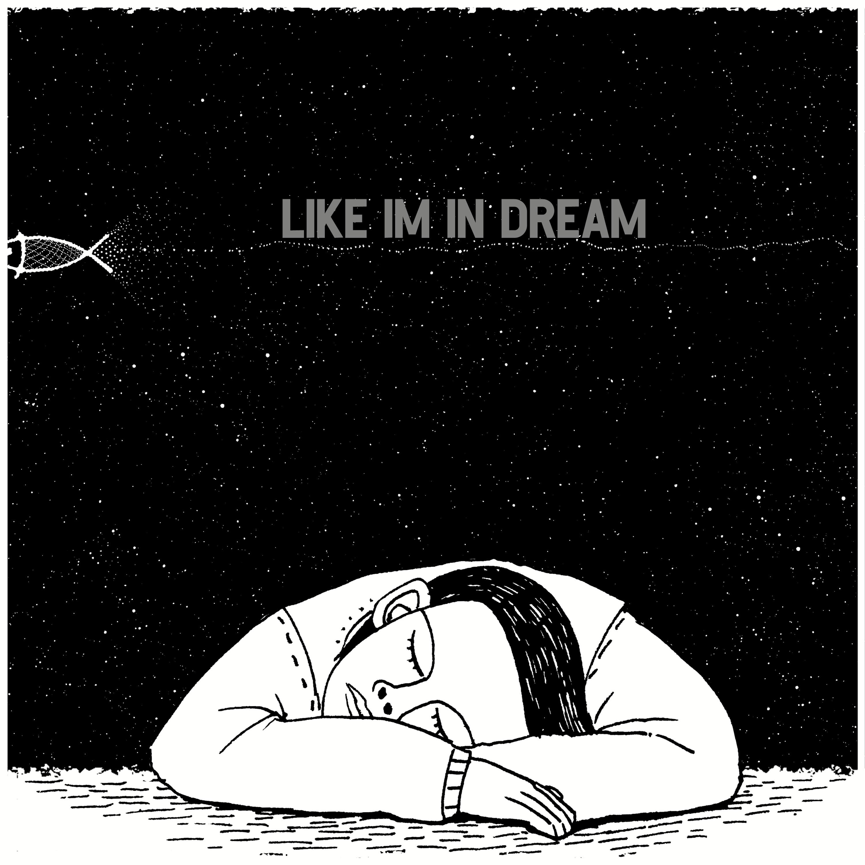 Like I’m In Dream
