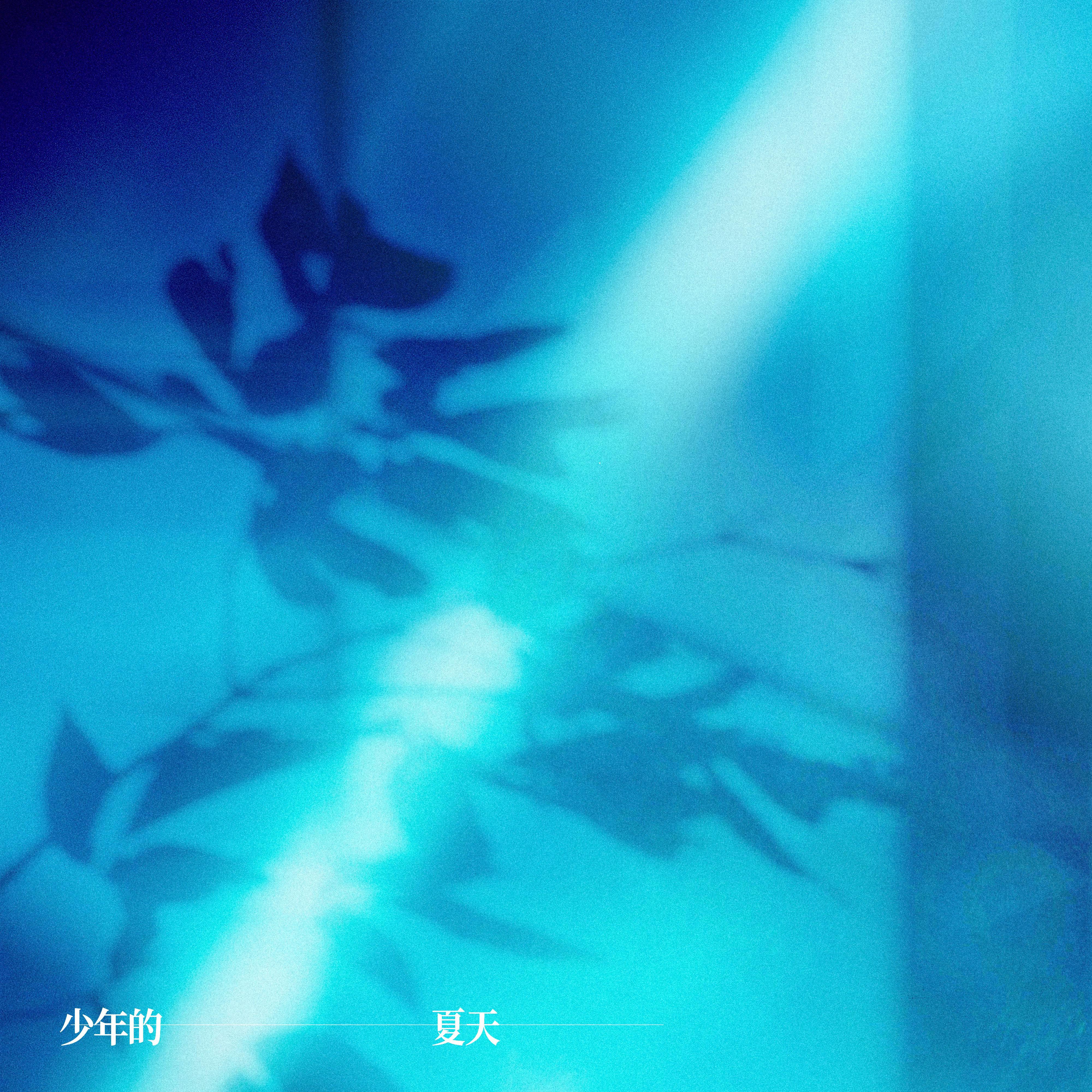 少年的夏天专辑