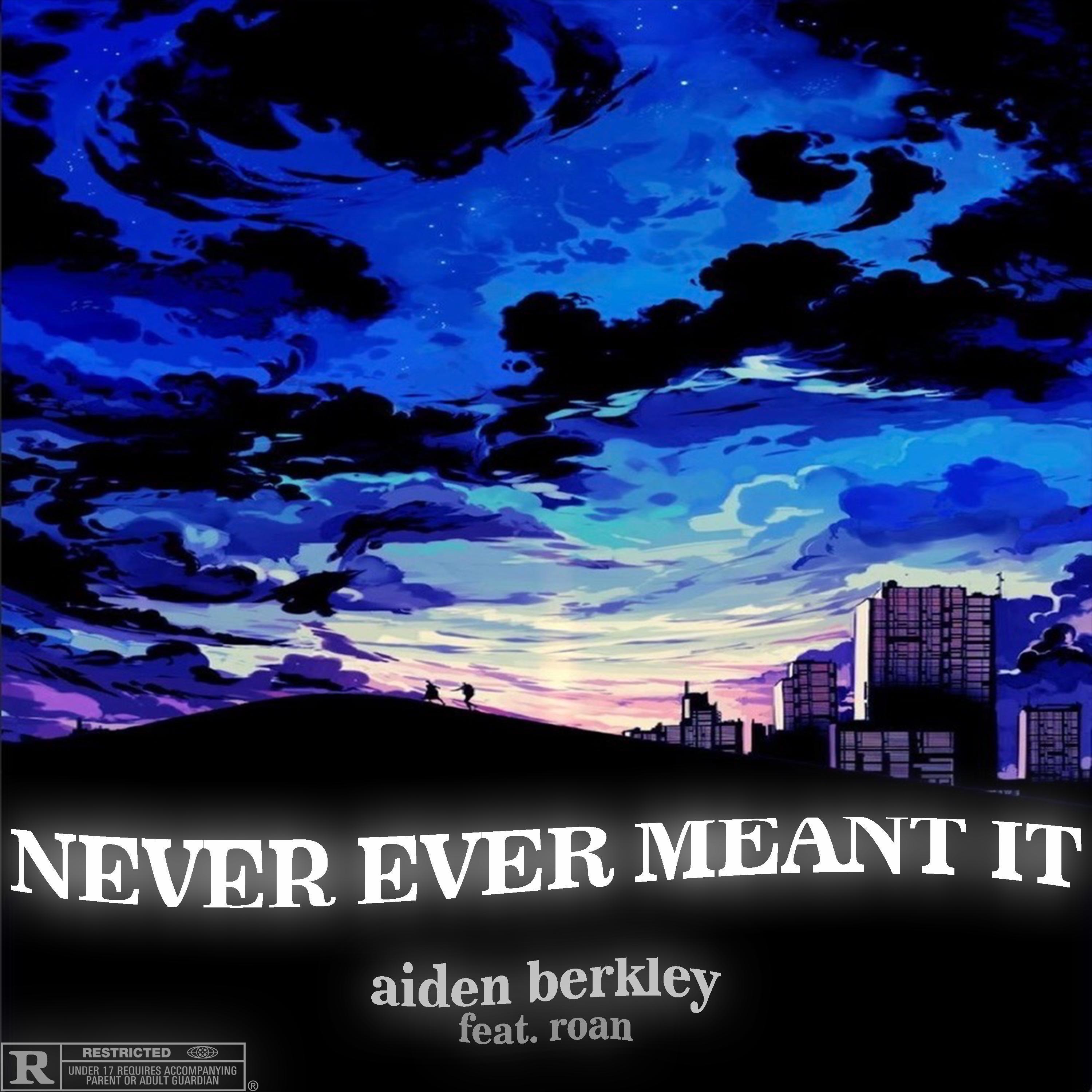 Never Ever Meant It