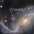 Cosmos