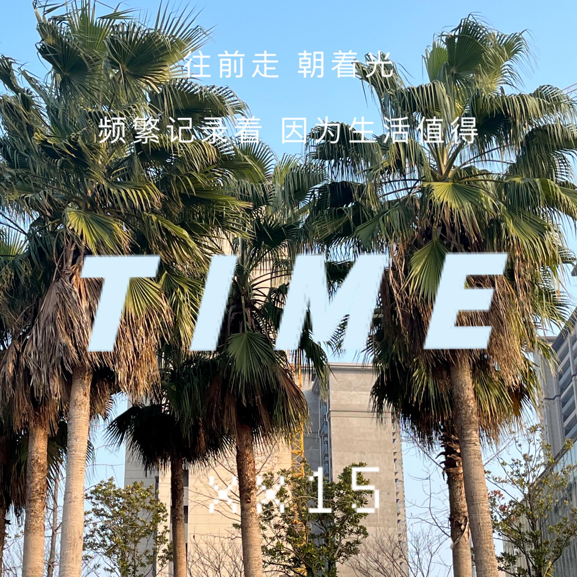 TIME（时间）