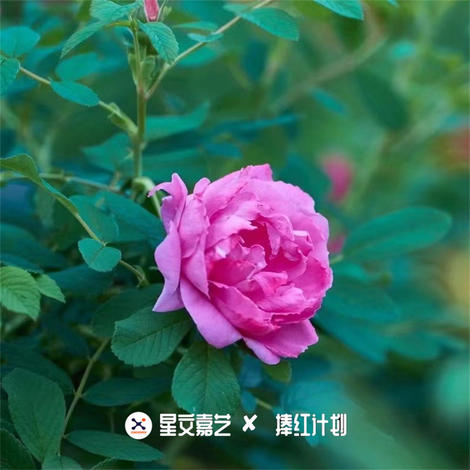 万人闹五荤
