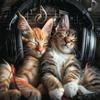 Jazz Music for Cats - Gentle Grooming Groove