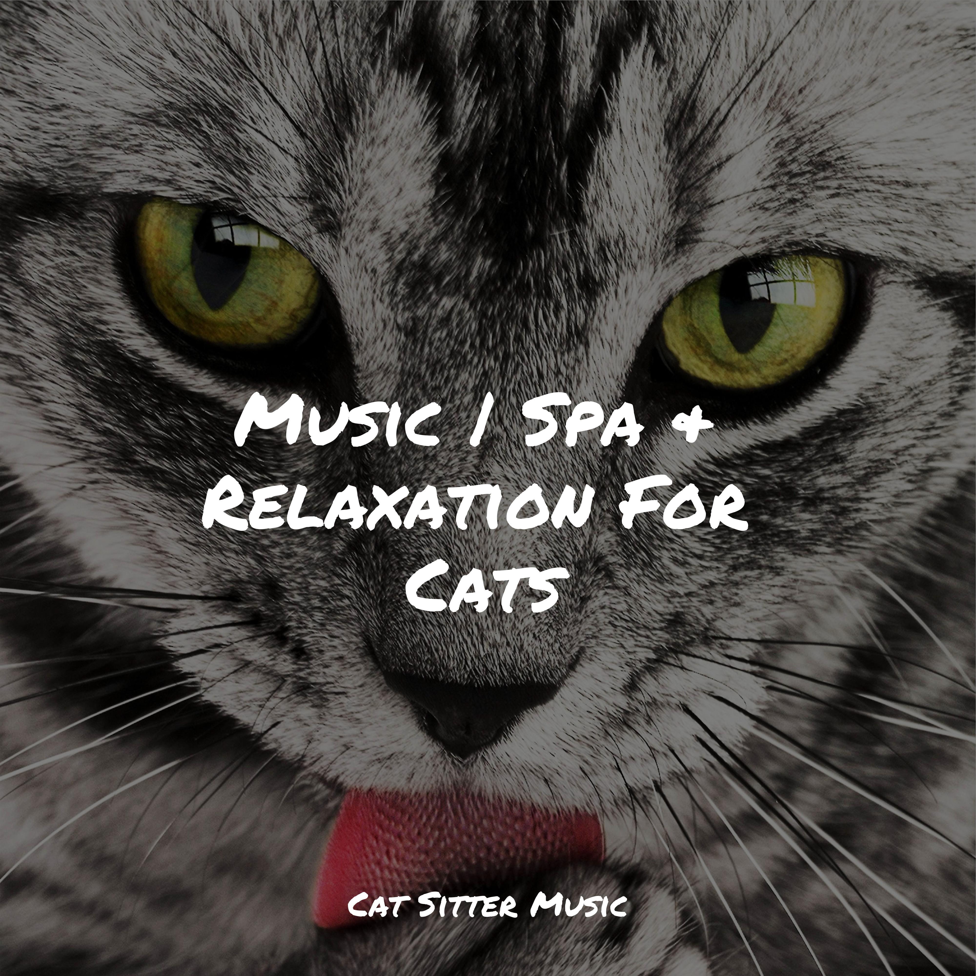 Jazz Music for Cats - Calm Seas