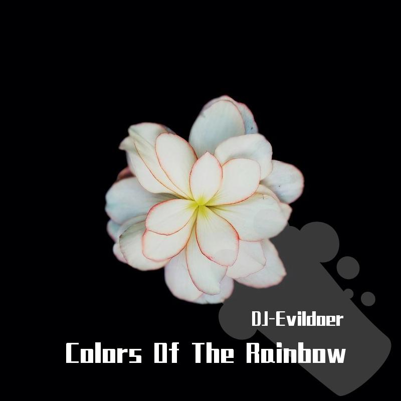 Sevenn-Colors Of The Rainbow（DJ-Evildoer remix）