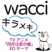 キラメキ-wacci