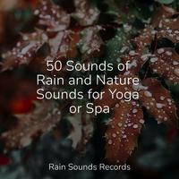 50 Sounds of Rain and Nature Sounds for Yoga or Spa