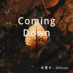 Coming Down(Extended Mix)