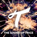 The Sound Of Trice专辑