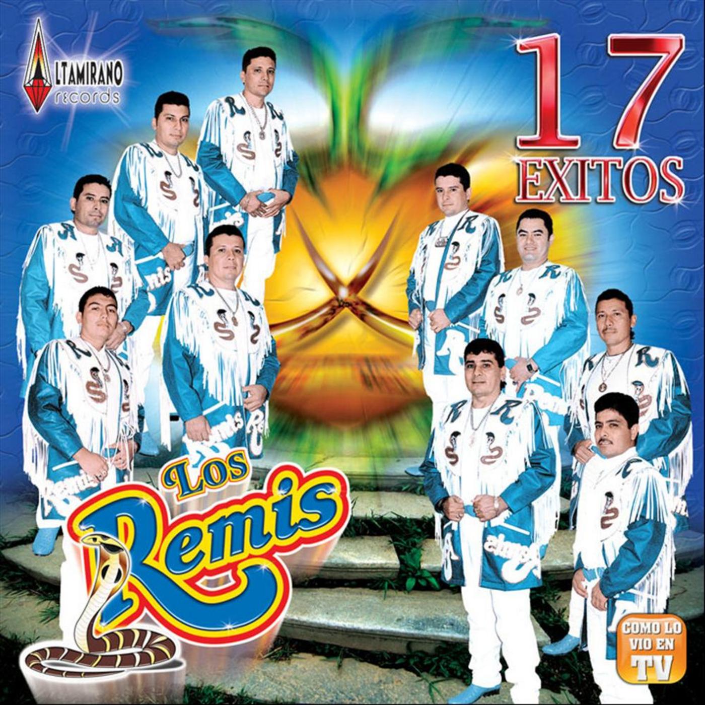 17 Exitos Ando en Busca