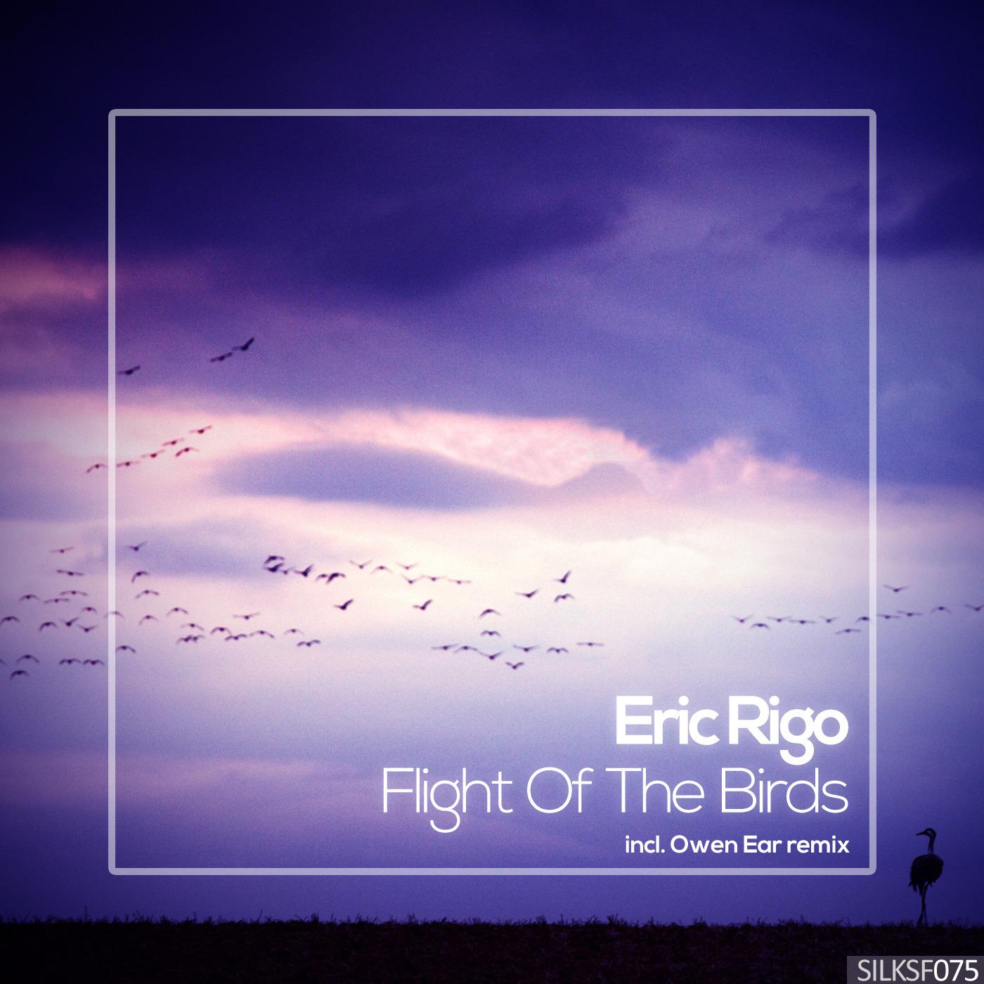 Eric Rigo - Flight Of The Birds (Owen Ear Remix)