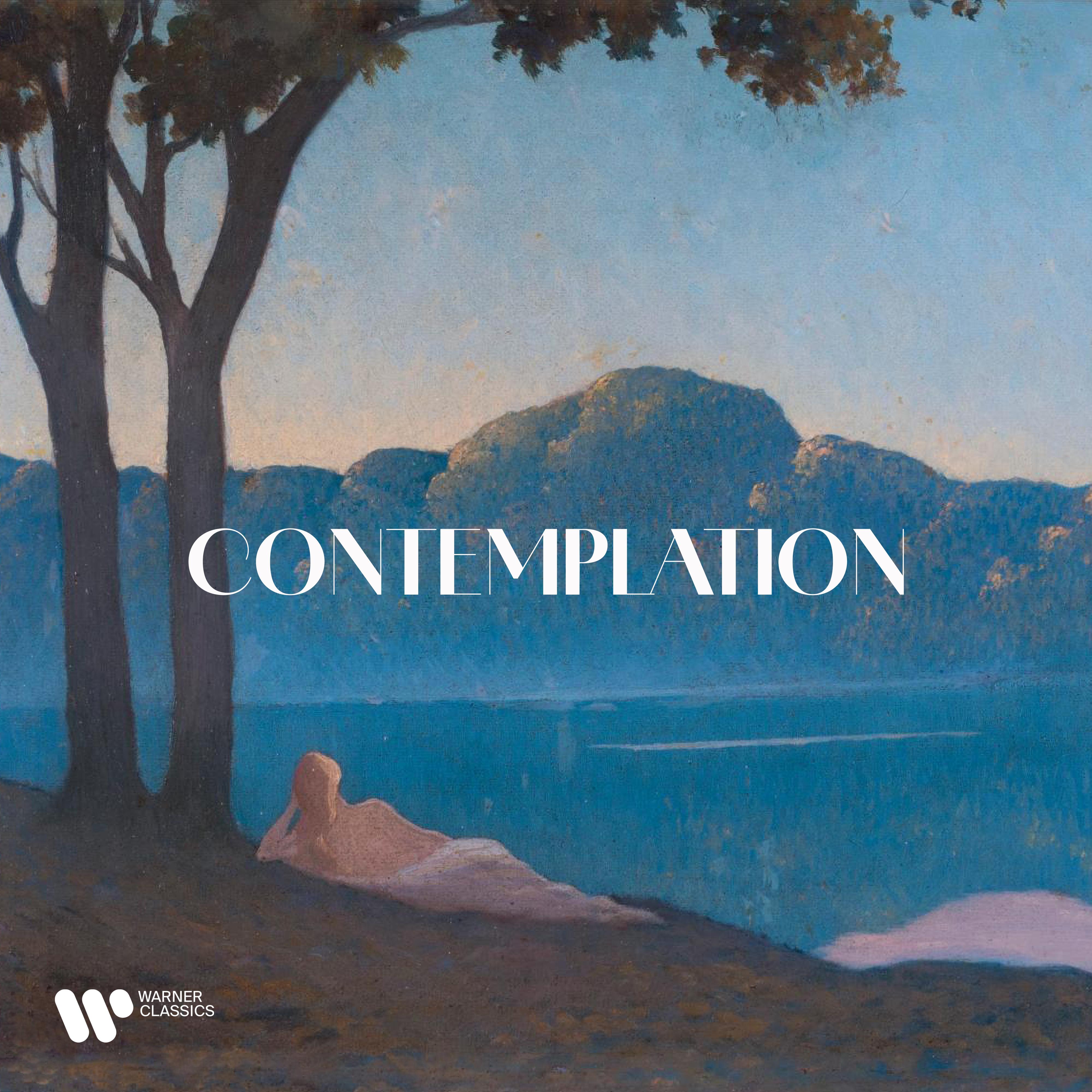 Contemplation