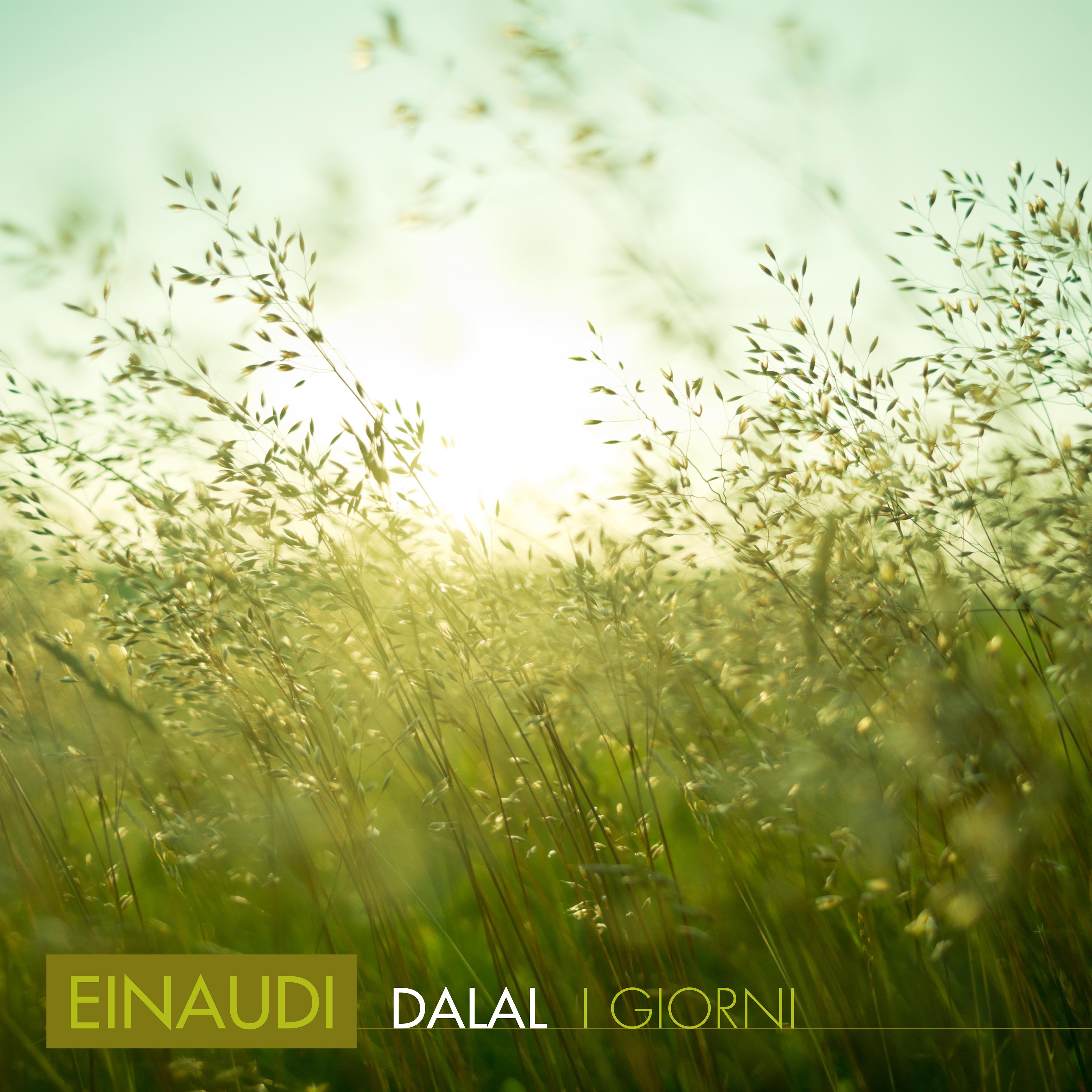 Einaudi: Fly