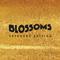 Blossoms (Extended Edition)专辑