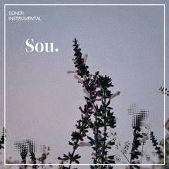 Sou. (Demo)