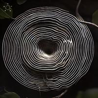 Florian Meindl - Basic Laws (Original Mix)