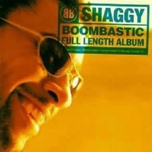 shaggy-伴奏 （升8半音）