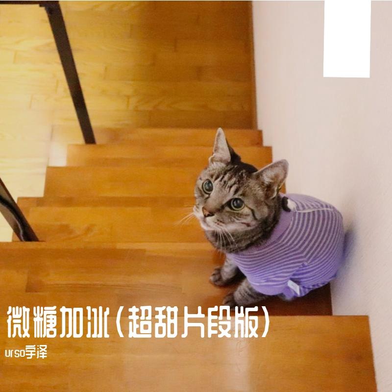 urso宇泽歌曲封面