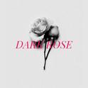 【编曲】DARK ROSE专辑