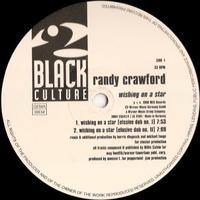 Randy Crawford - Wishing On a Star (Mousse T s Original Version) (karaoke)