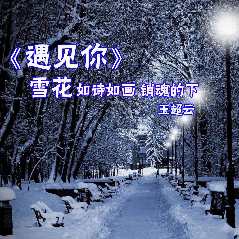 雪花专辑