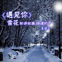 雪花专辑