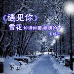 雪花专辑