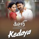 Kedaya (From "Kalari")专辑