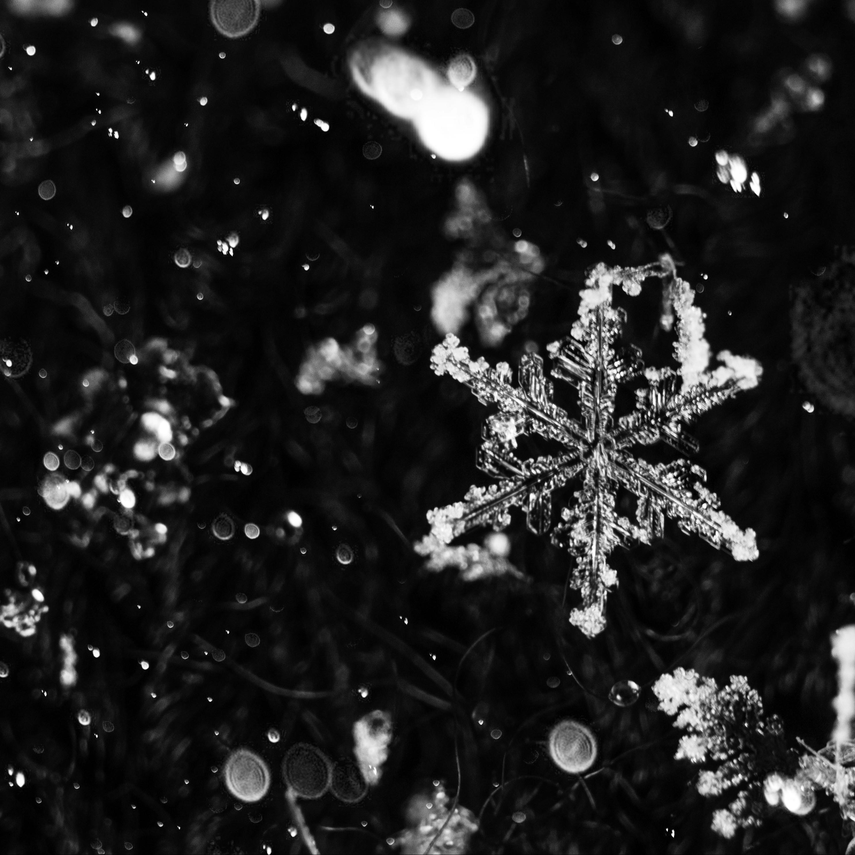 空雪