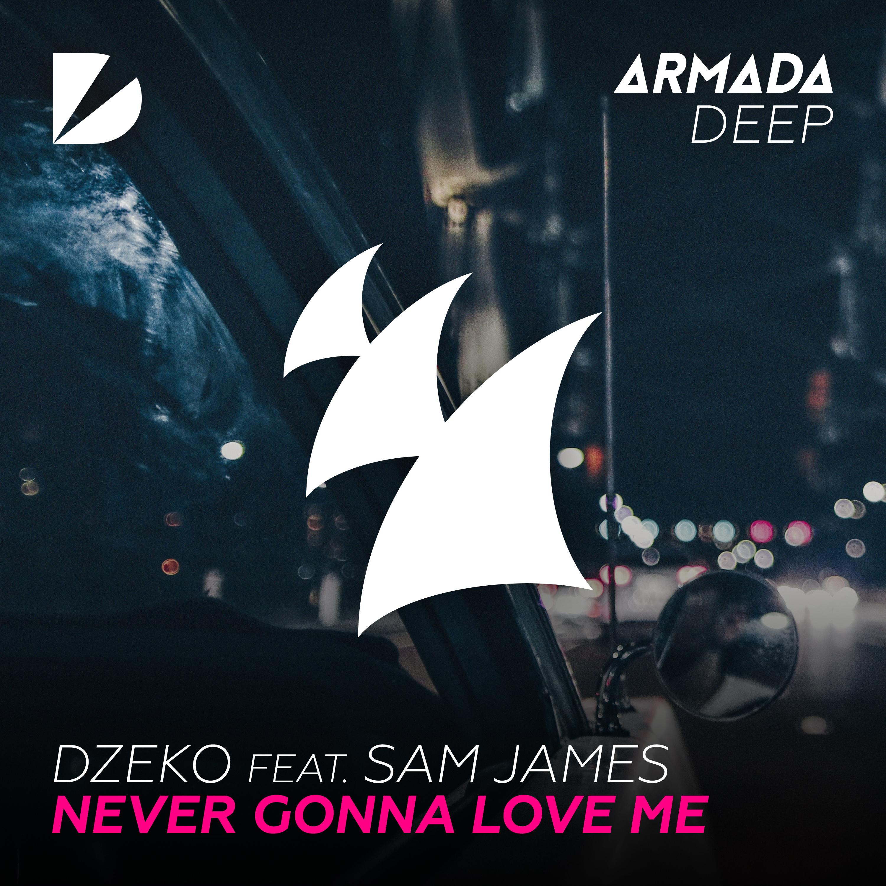 Never Gonna Love Me