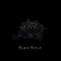 Black Rose专辑