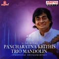 Pancharatna Krithis - Trio Mandolin