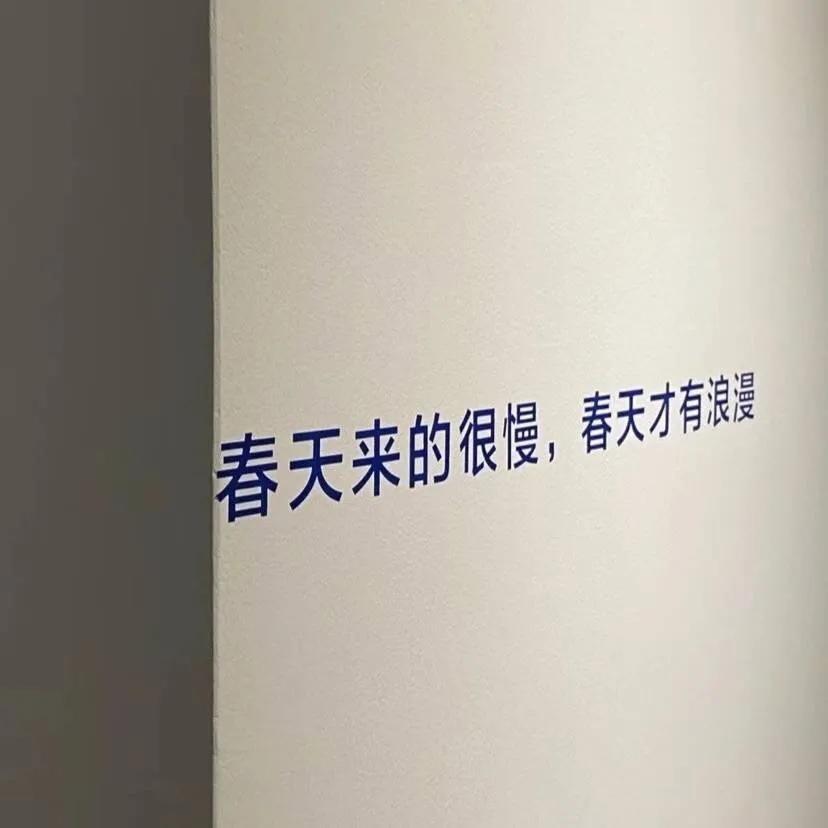 八个贝壳