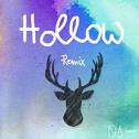 Hollow (Sander W. Remix)专辑
