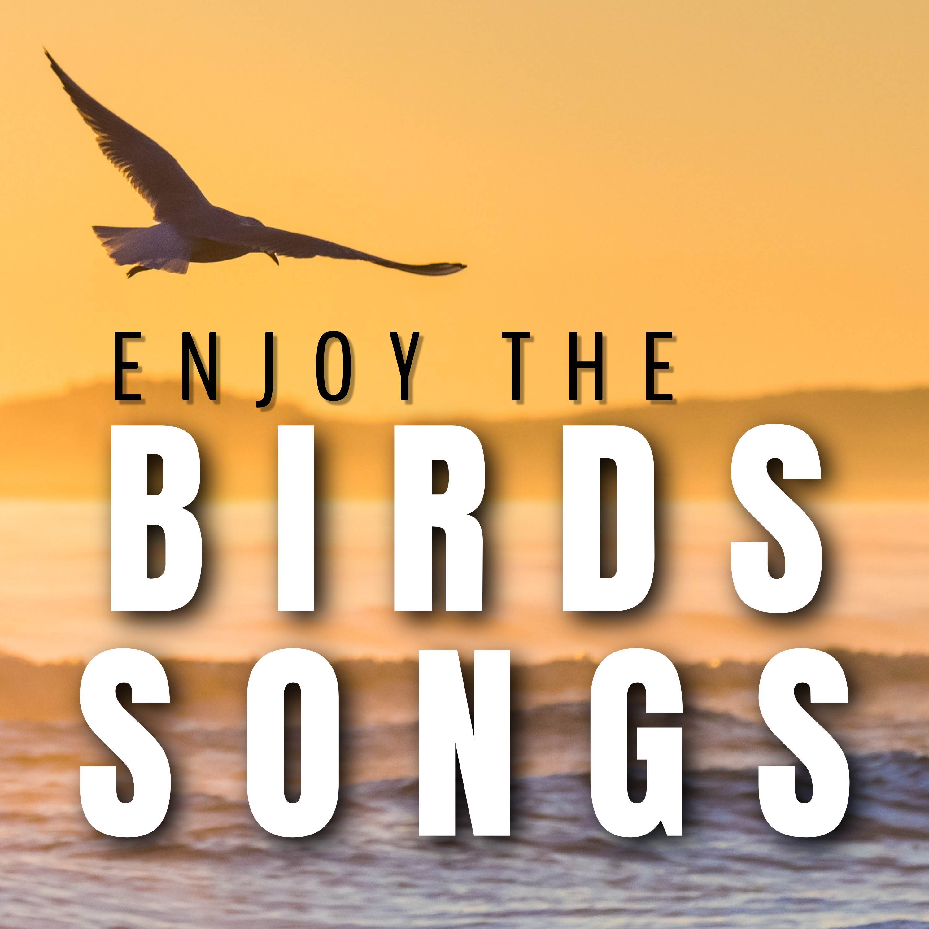 Nature Sounds Birds Song