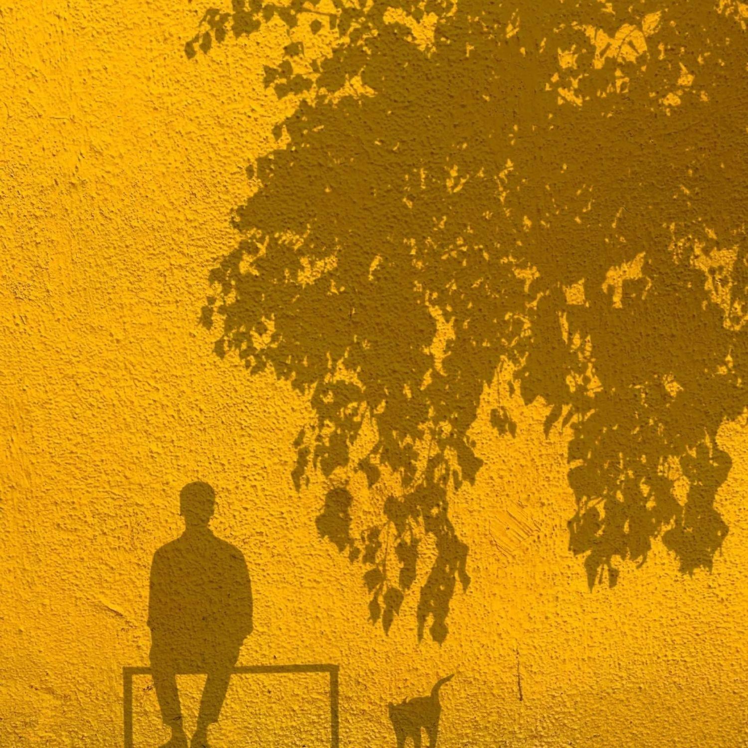 关于郑州的记忆。