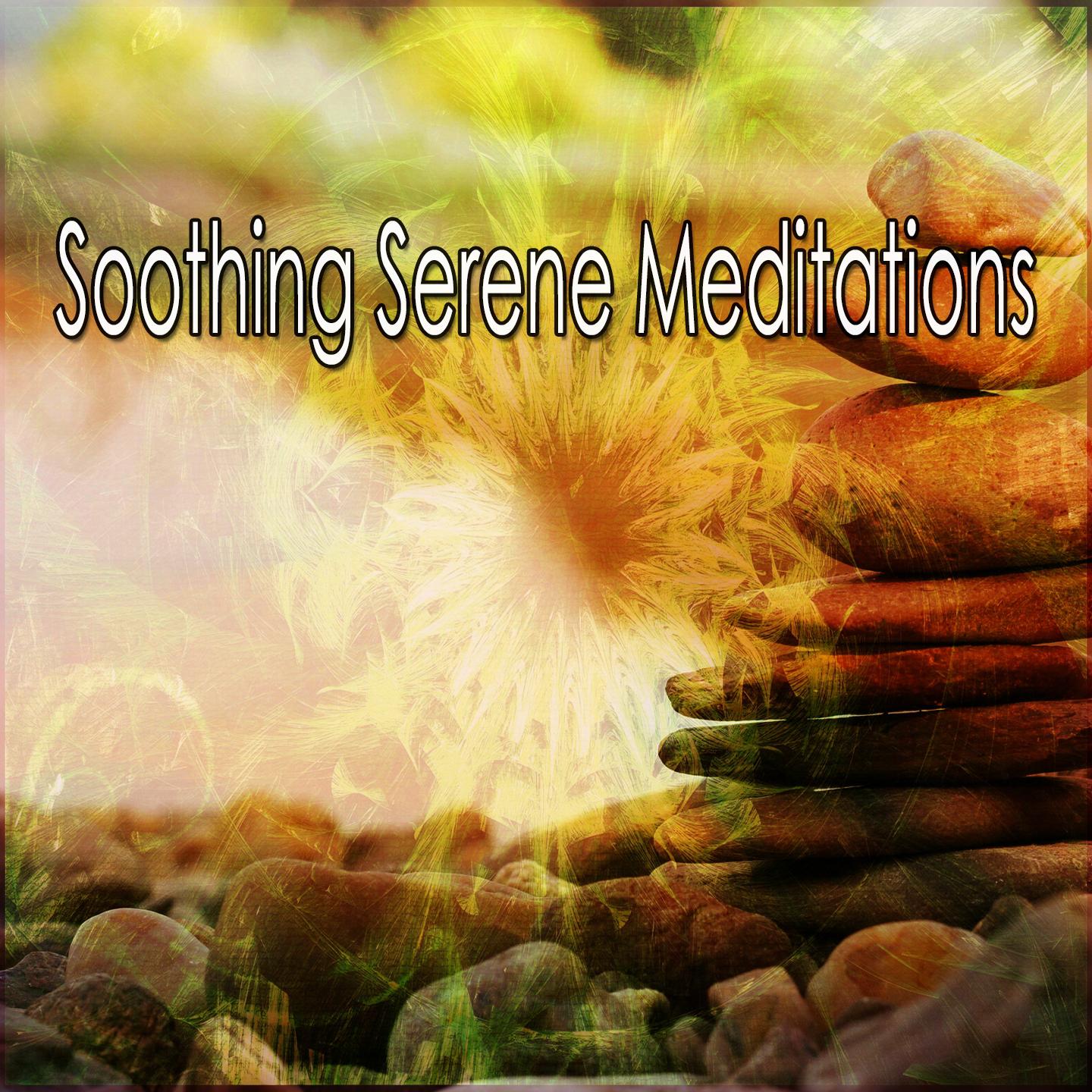 Soothing Serene Meditations专辑