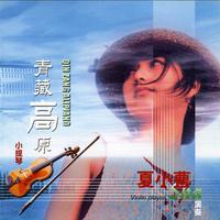 康定情歌+青藏高原(2023男女嘉宾伴奏无广告)