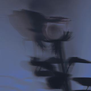 「轻音乐」失眠必备曲-----请好好生活每天