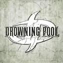 Drowning Pool专辑