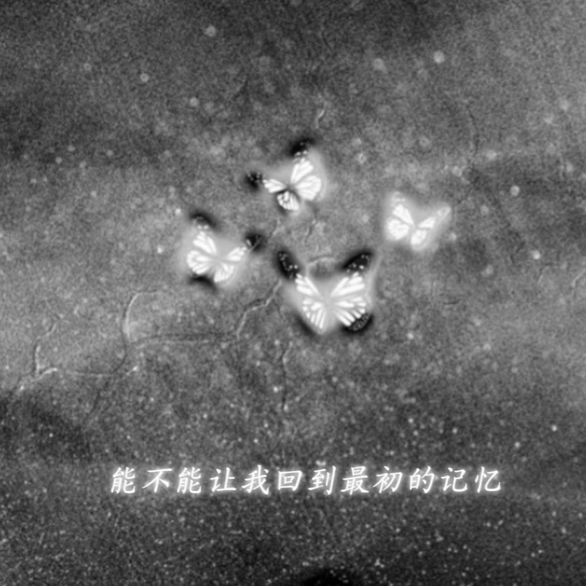 最初的记忆0.8X(能不能让我回到最初的记忆）