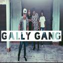 Gally Gang (feat. Ruyo)专辑