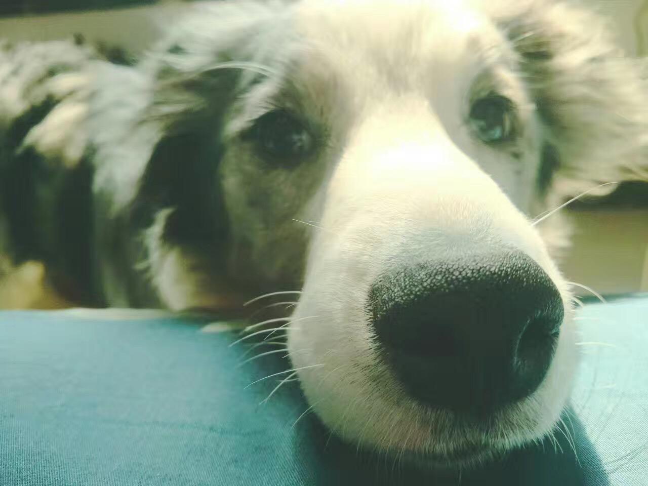 右右