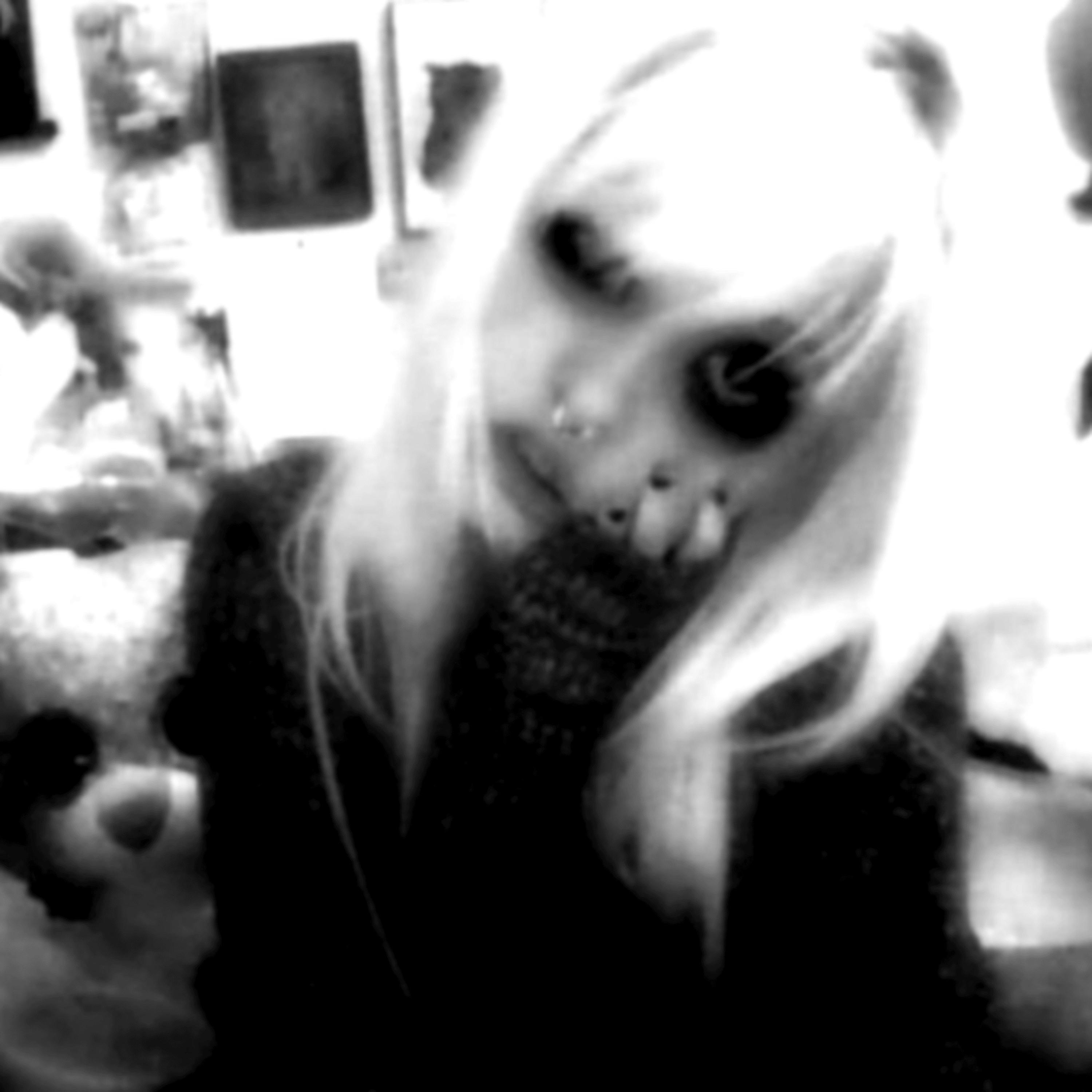 OUR LOVE IS DIGITAL (feat. dollreal & Pixel Hood)