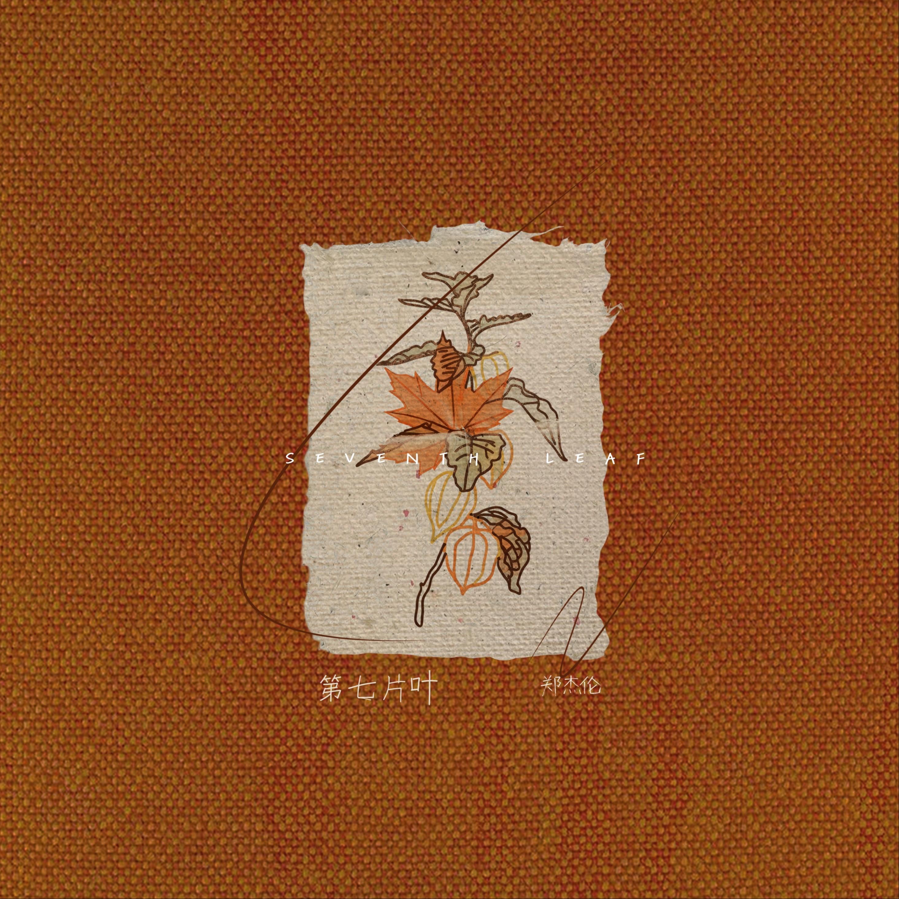 第七片叶