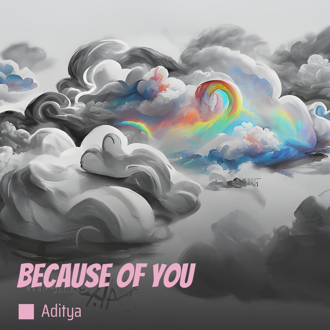 Aditya - Because of You