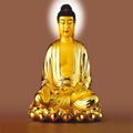 Buddhist Disciple