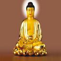 Buddhist Disciple专辑