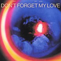 Don't Forget My Love (ZK) （原版立体声）