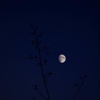 睡眠